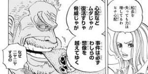ONEPIECEロックス国思想説考察