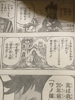 ONEPIECE919話ネタバレトキトキの実能力者