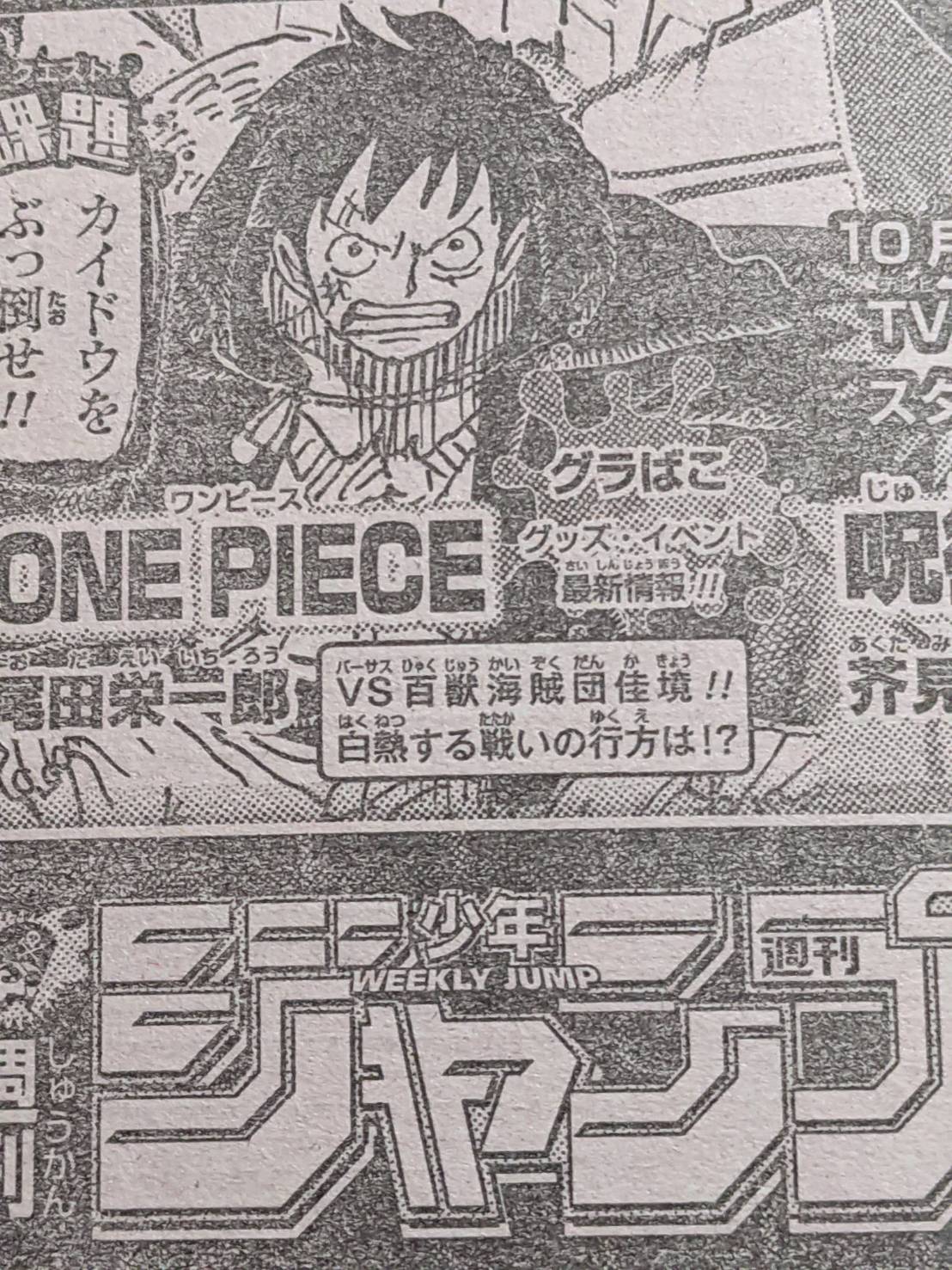 Bestpixtajpnbrc 最高のコレクション One Piece カイドウ 人獣型 One Piece カイドウ 人獣型