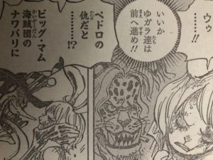 イヌアラシ ネコマムシvsペロスペロー Onepiece第1008話以降考察