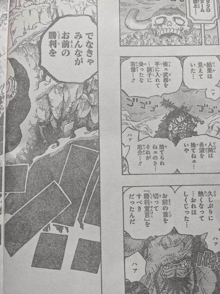 カイドウがルフィを倒した力の正体｜ONEPIECE第1013話考察 【ワンピース考察】甲塚誓ノ介のいい芝居してますね！