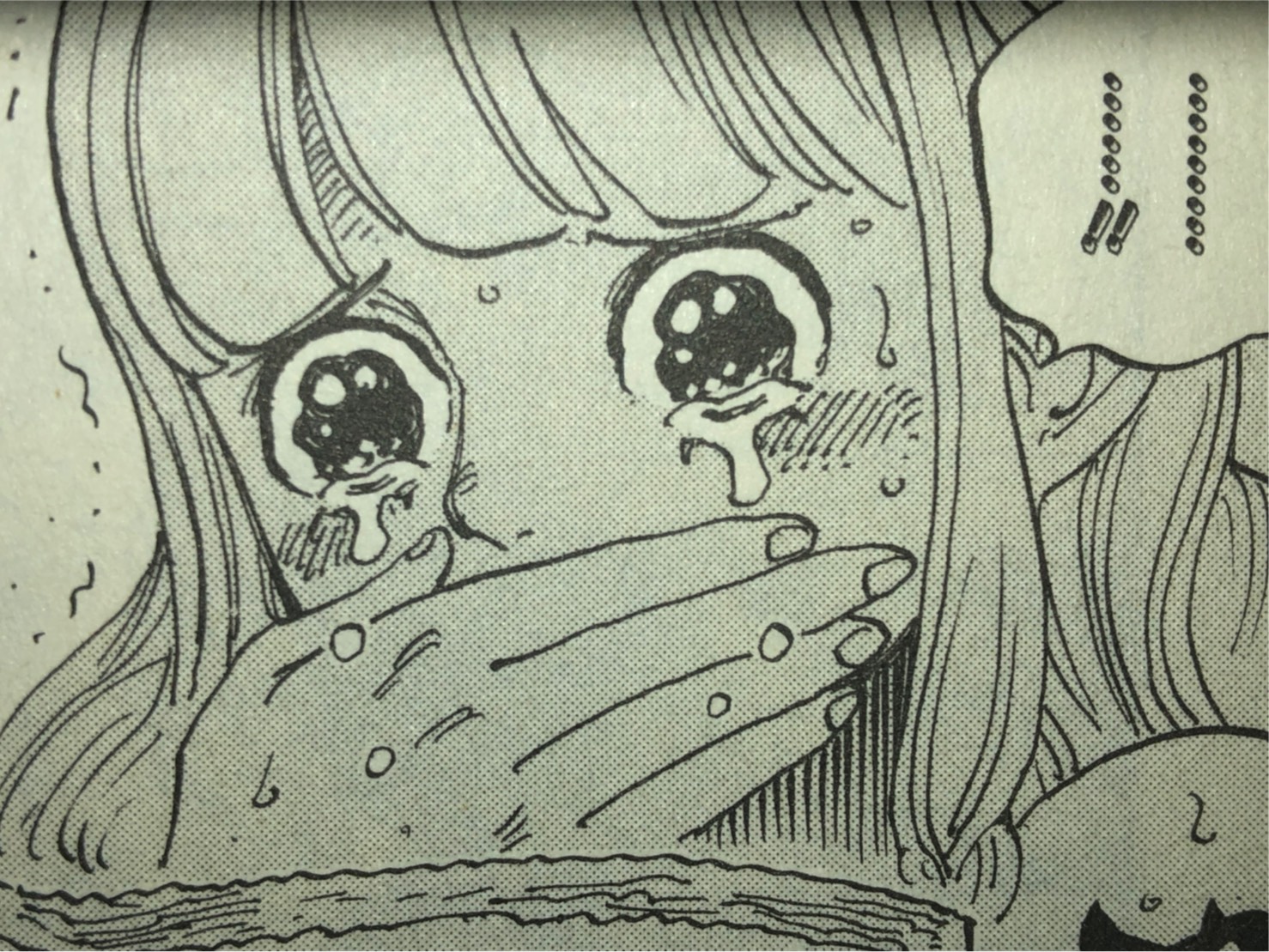 ペローナ ゾロ 好き