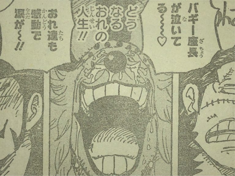 きむきむ様 クロコダイル、ミホーク るかっぷ ONE PIECE ジュラキュール・ミホーク＆クロコダイル